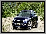 Kaktusy, Audi Q5 TFSI Quattro SUV Navarra Blue, 2017