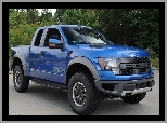 Drzewa, Ford, Raptor