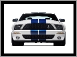 Shelby, Ford Mustang