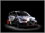 Hyundai i20 WRC, Rajdowy